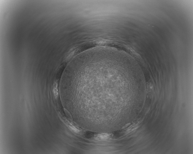 X0000058800479200510071707