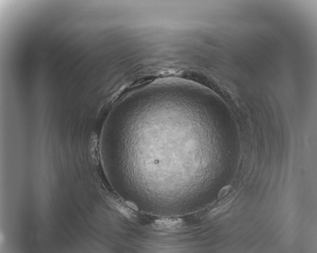 X0000058800480200510071707