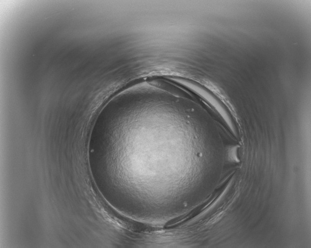 X0000058800481200510071706