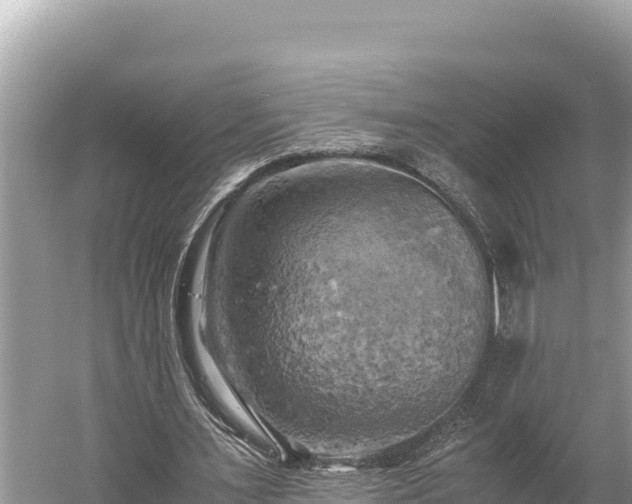 X0000058800483200510071706