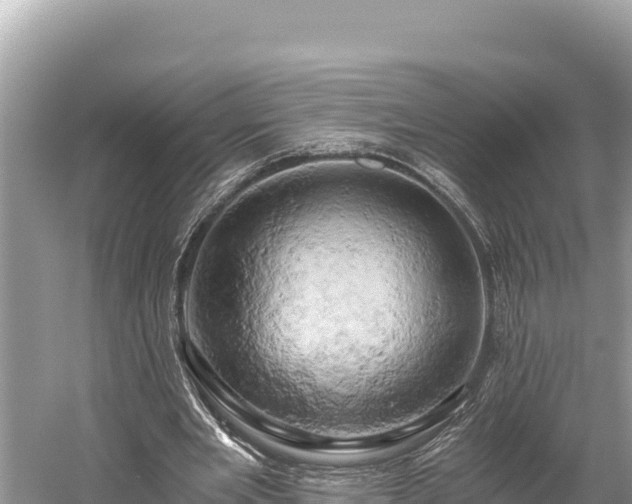 X0000058800485200510071706