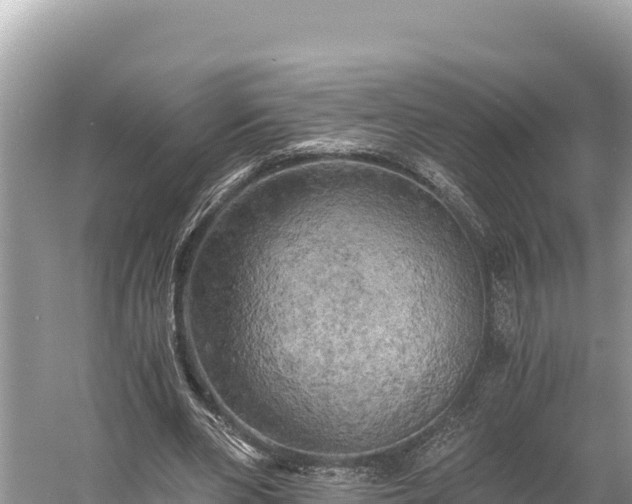 X0000058800486200510071706