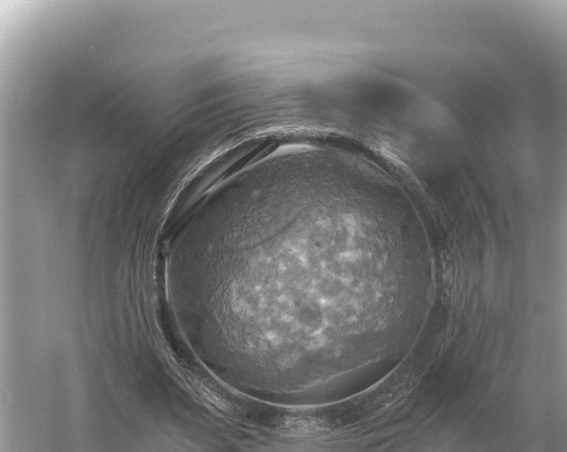 X0000058800487200510071706