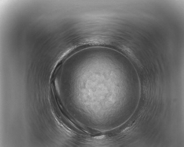 X0000058800488200510071706