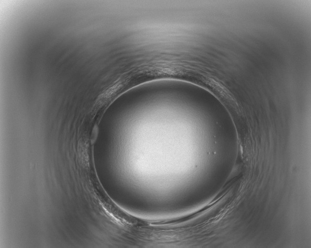 X0000058800489200510071706