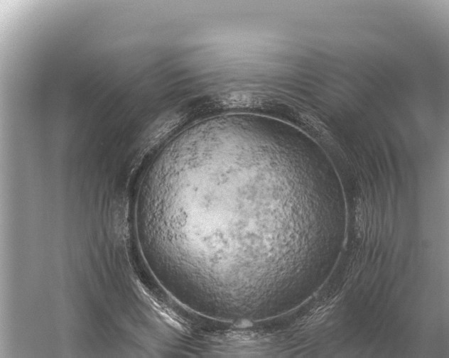 X0000058800490200510071706