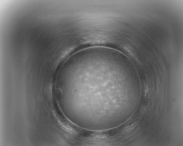 X0000058800491200510071706