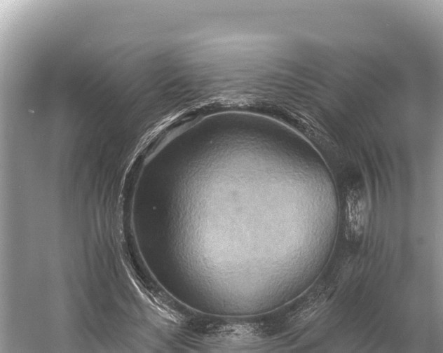 X0000058800492200510071706