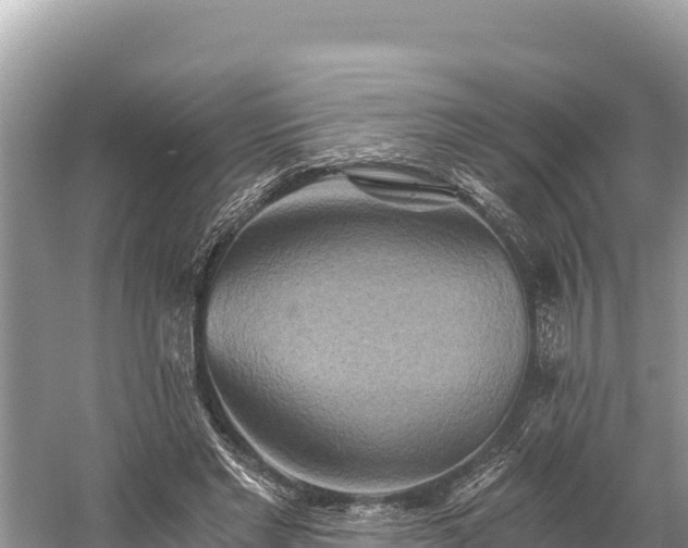 X0000058800493200510071706