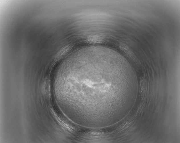 X0000058800494200510071706