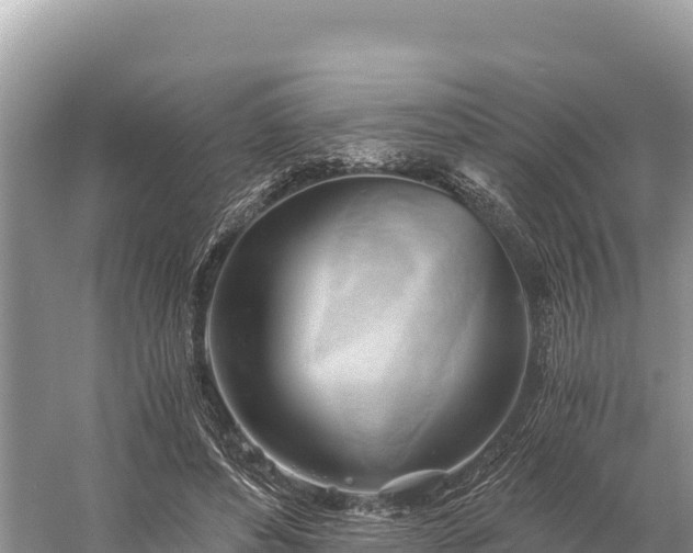 X0000058800496200510071705