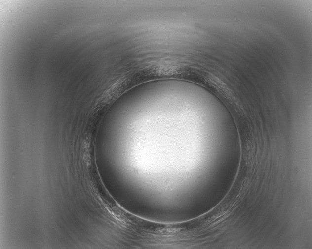 X0000058800497200510071705