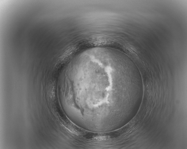 X0000058800499200510071705