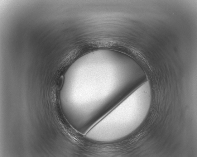 X0000058800501200510071705