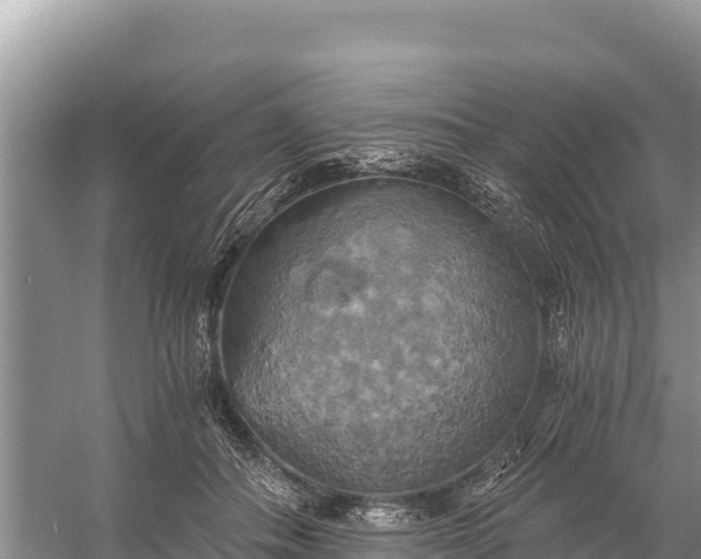 X0000058800506200510071705