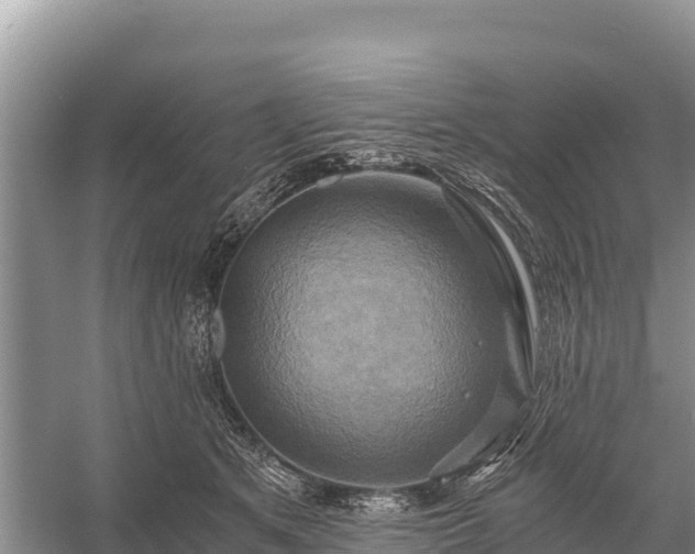 X0000058800513200510071705