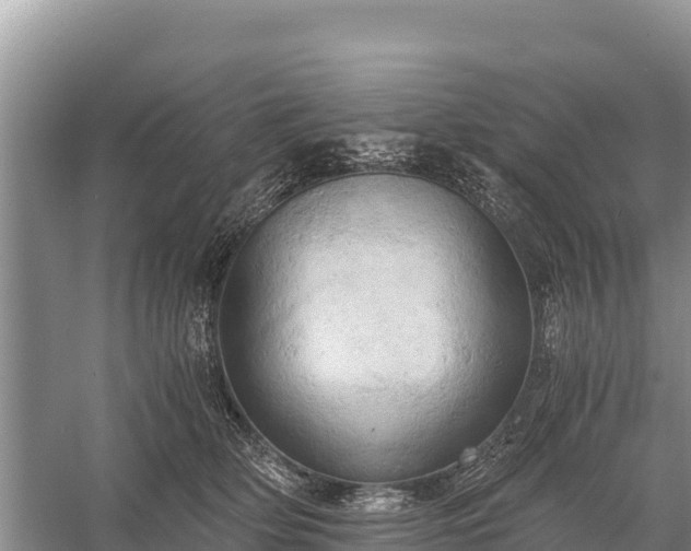 X0000058800514200510071705