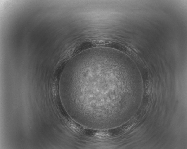 X0000058800515200510071705