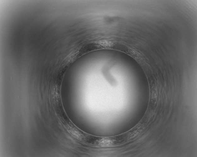 X0000058800518200510071705