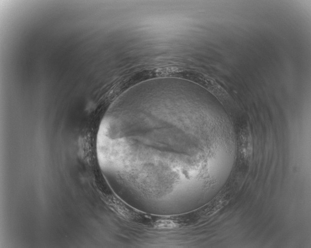 X0000058800519200510071705