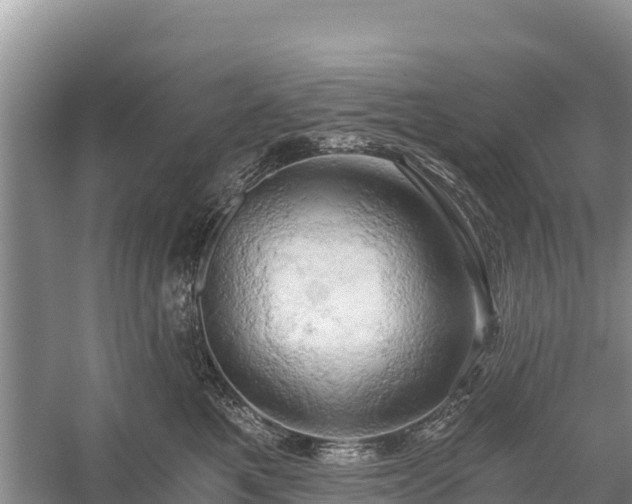 X0000058800521200510071705