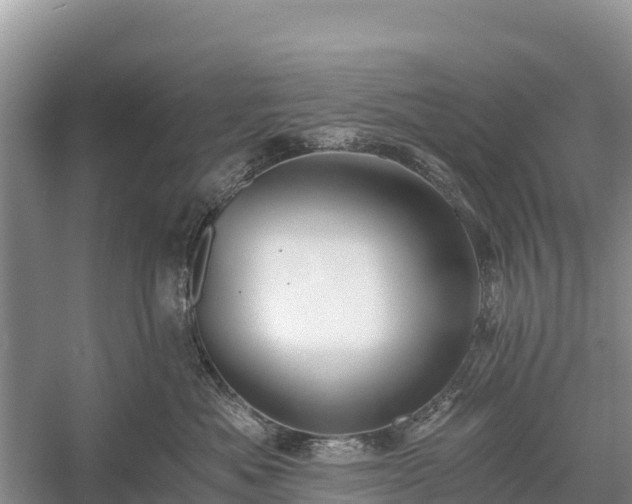 X0000058800525200510071705