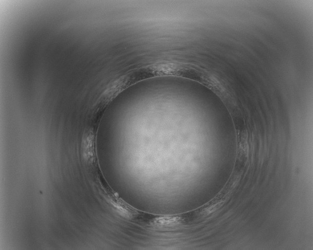 X0000058800526200510071705