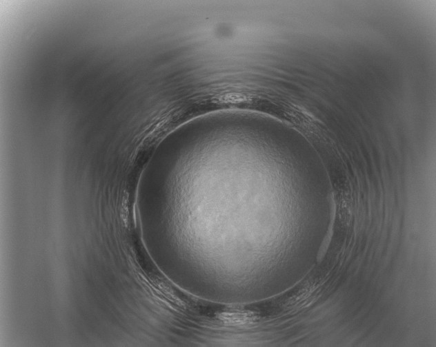 X0000058800556200510071705