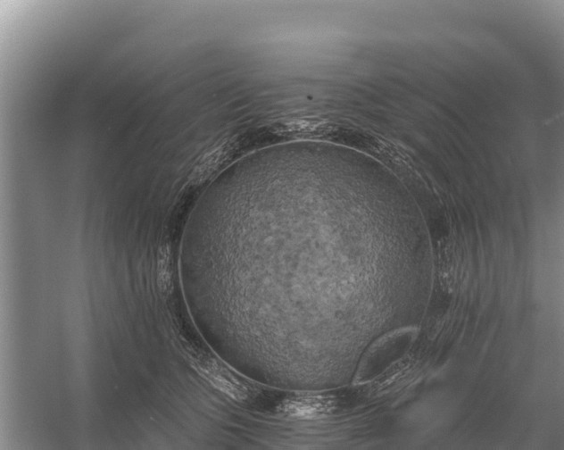 X0000058800563200510071705