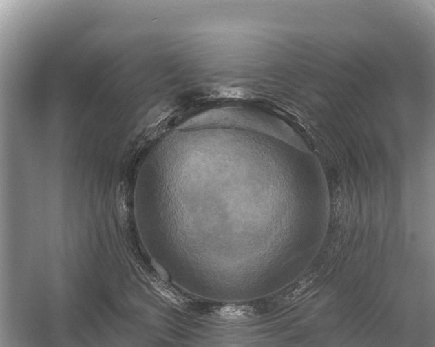 X0000058800566200510071705