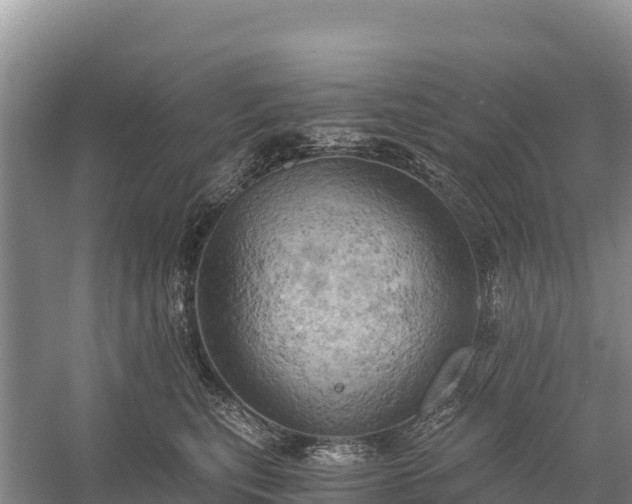 X0000058800567200510071705