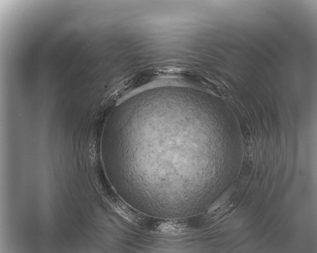 X0000058800568200510071705