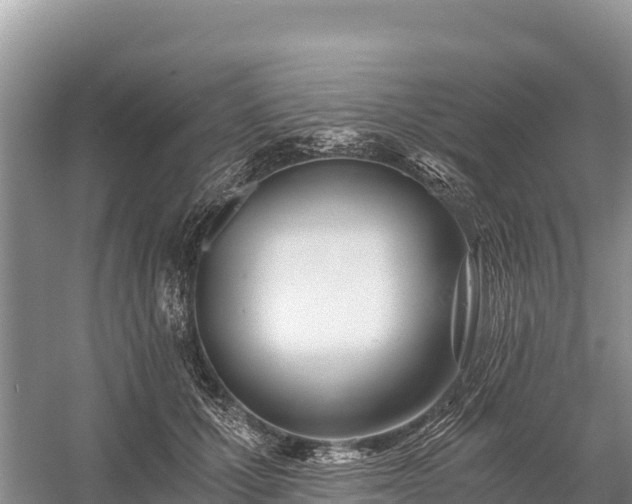 X0000058800607200510071704