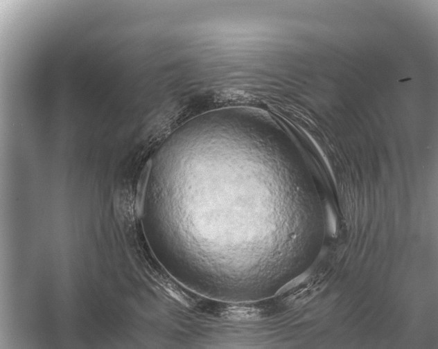 X0000058800617200510071703