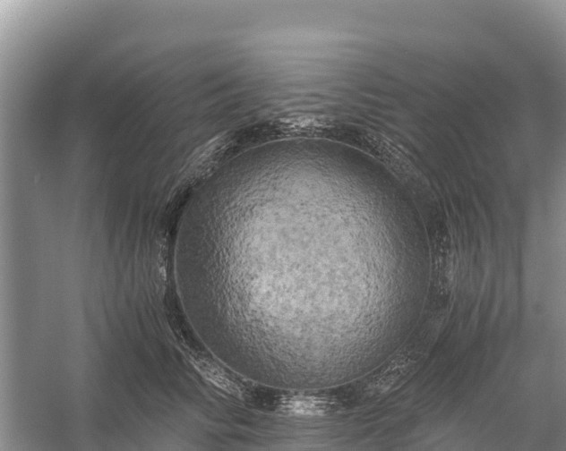 X0000058800710200510071702
