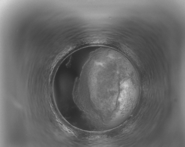 X0000058800721200510071701