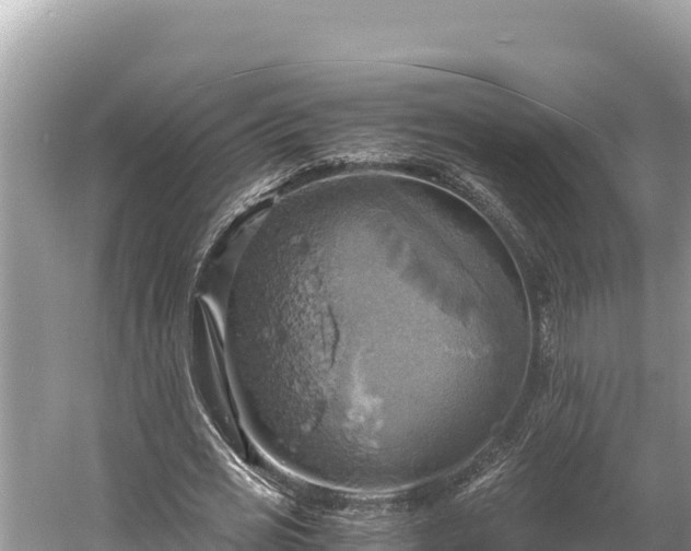 X0000058800725200510071701