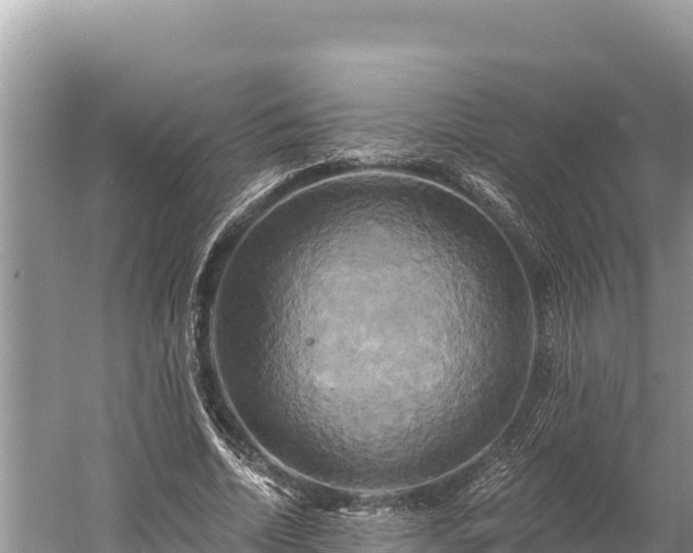 X0000058800730200510071701