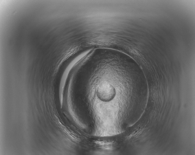 X0000058800735200510071701