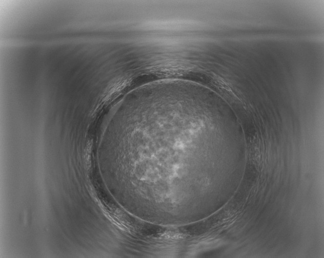 X0000058800742200510071701