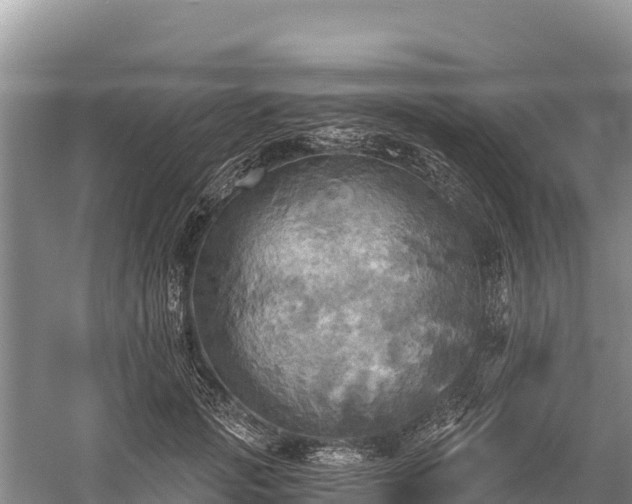 X0000058800749200510071701