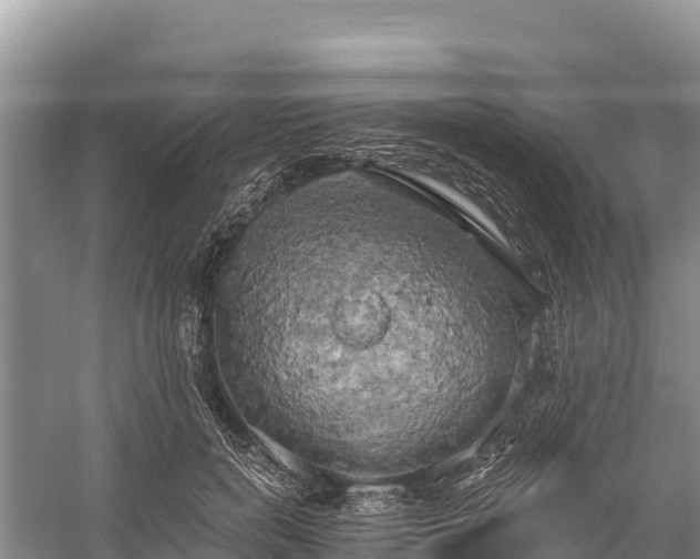 X0000058800750200510071701