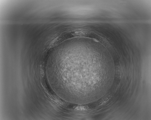 X0000058800751200510071701