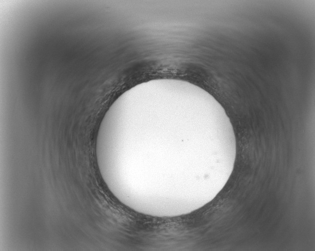 X0000058800769200510071701