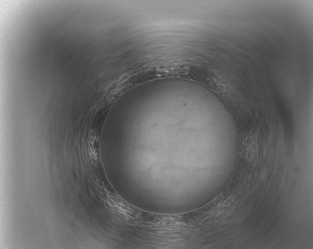 X0000058800770200510071701