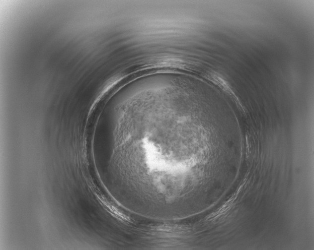 X0000058800780200510071701