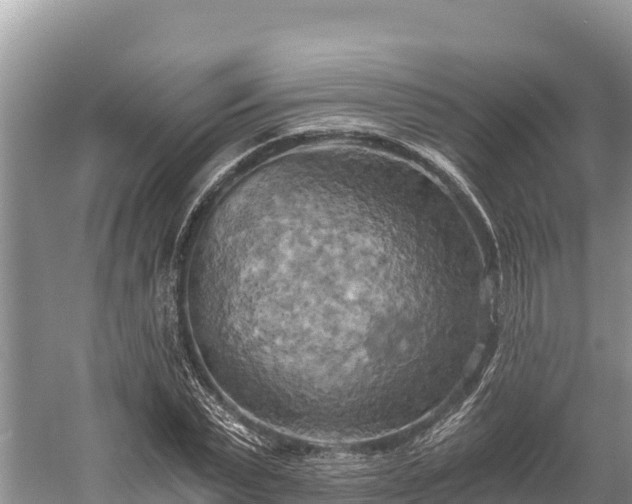 X0000058800783200510071701