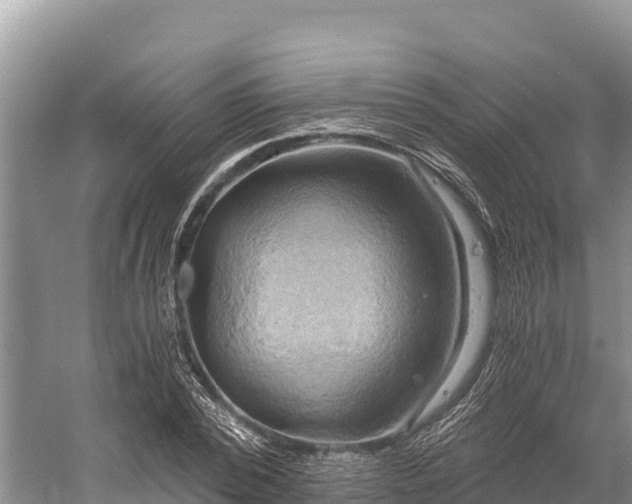 X0000058800784200510071701