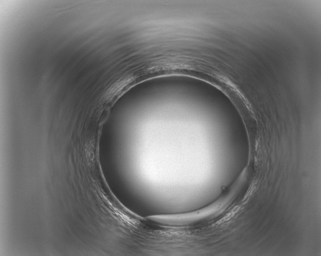 X0000058800785200510071701