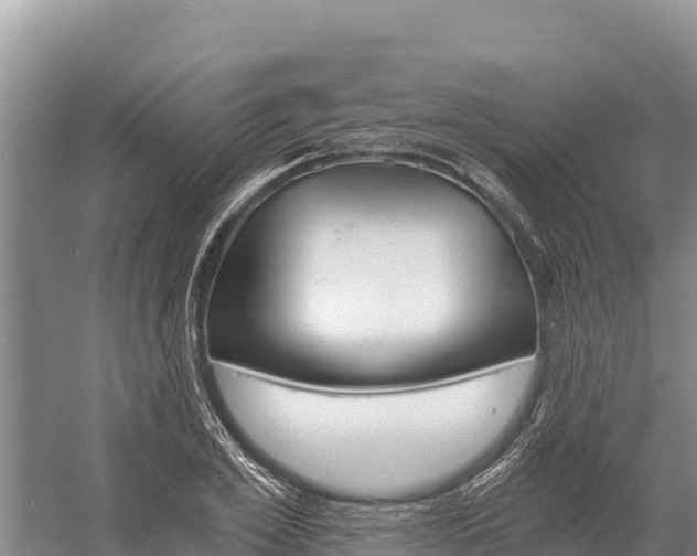 X0000058800981200510071657